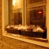 rpoktallin074