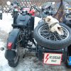 vor1-031