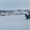 s-t_2016-027