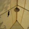 DSC07100.JPG