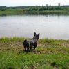 DSC07108.JPG