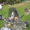 DSC07119.JPG