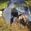 DSC07135.JPG