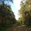 DSC07141.JPG