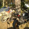 DSC07145.JPG