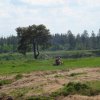DSC07214.JPG