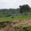 DSC07215.JPG